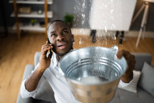Best Flood restoration services  in North Key Largo, FL