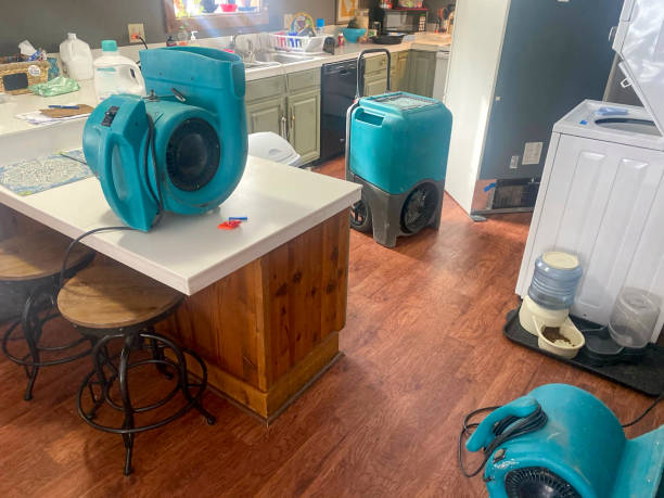 Best Basement water damage restoration  in North Key Largo, FL