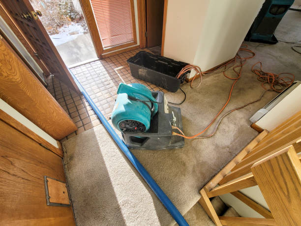Best 24-hour water damage restoration  in North Key Largo, FL