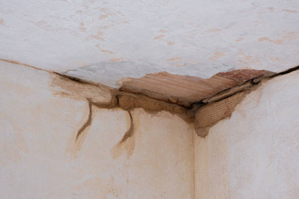 Best Carpet water damage restoration  in North Key Largo, FL