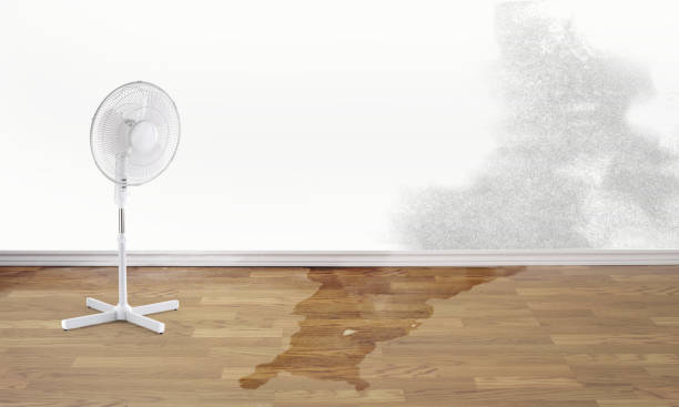 Best Emergency water damage restoration  in North Key Largo, FL