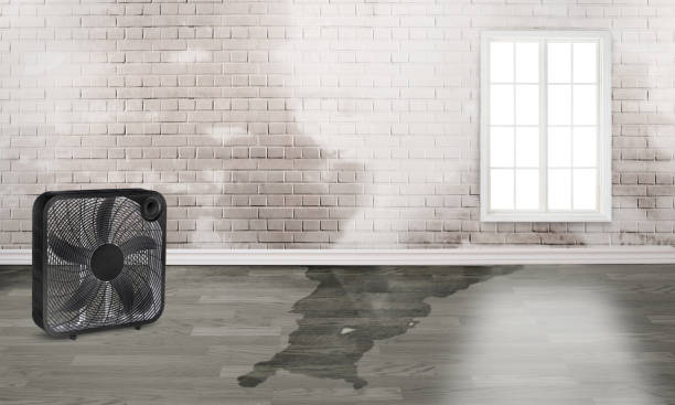 Best Flood restoration services  in North Key Largo, FL