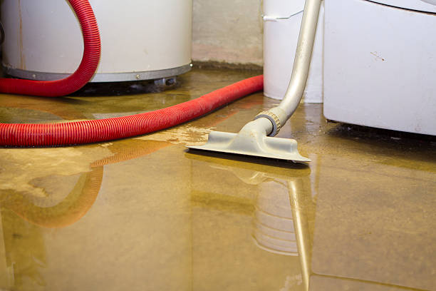 Best Flood damage cleanup  in North Key Largo, FL