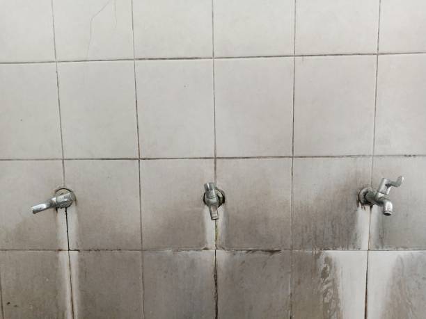 Best Fire Damage Restoration  in North Key Largo, FL