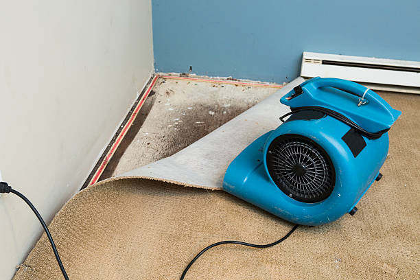 Best Local water damage restoration  in North Key Largo, FL