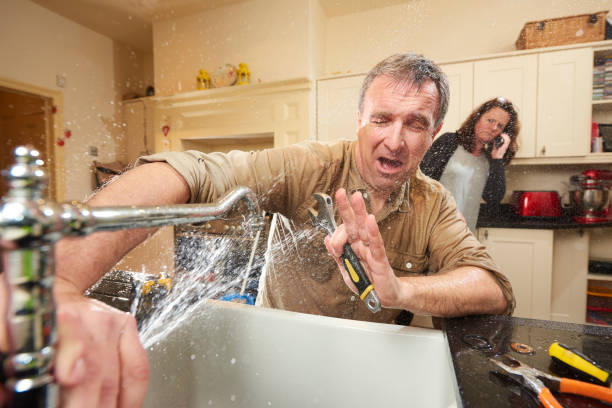 Best Flooded house restoration  in North Key Largo, FL